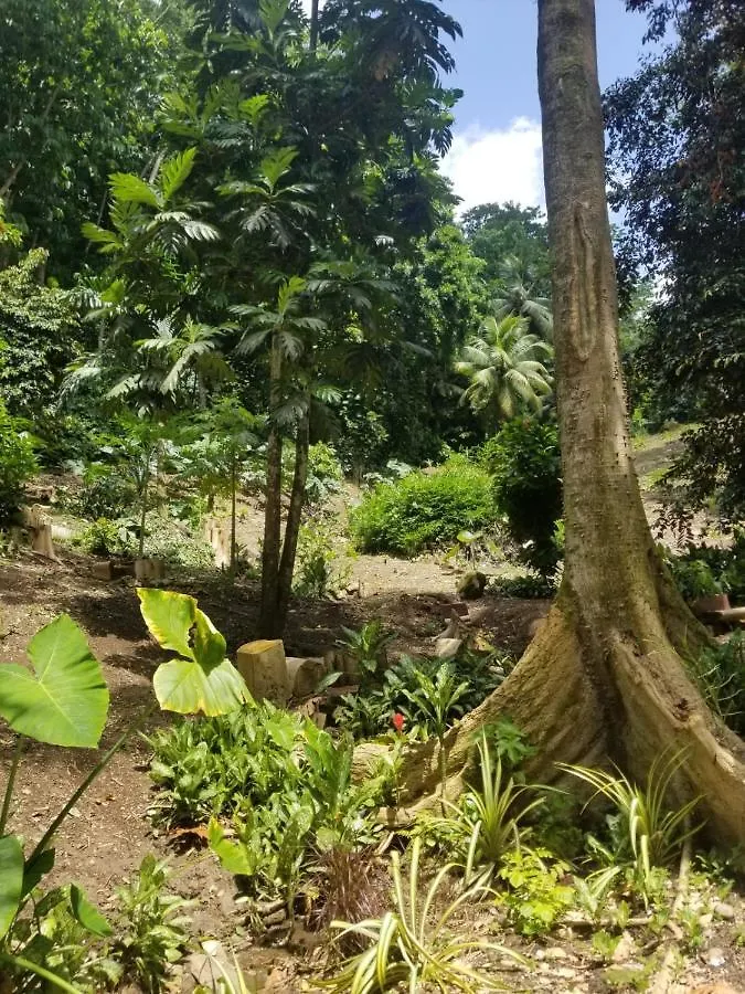 Lodge Ecoscape Jamaica - Lavish 1-Br Cottage By The River Saint Ann's Bay