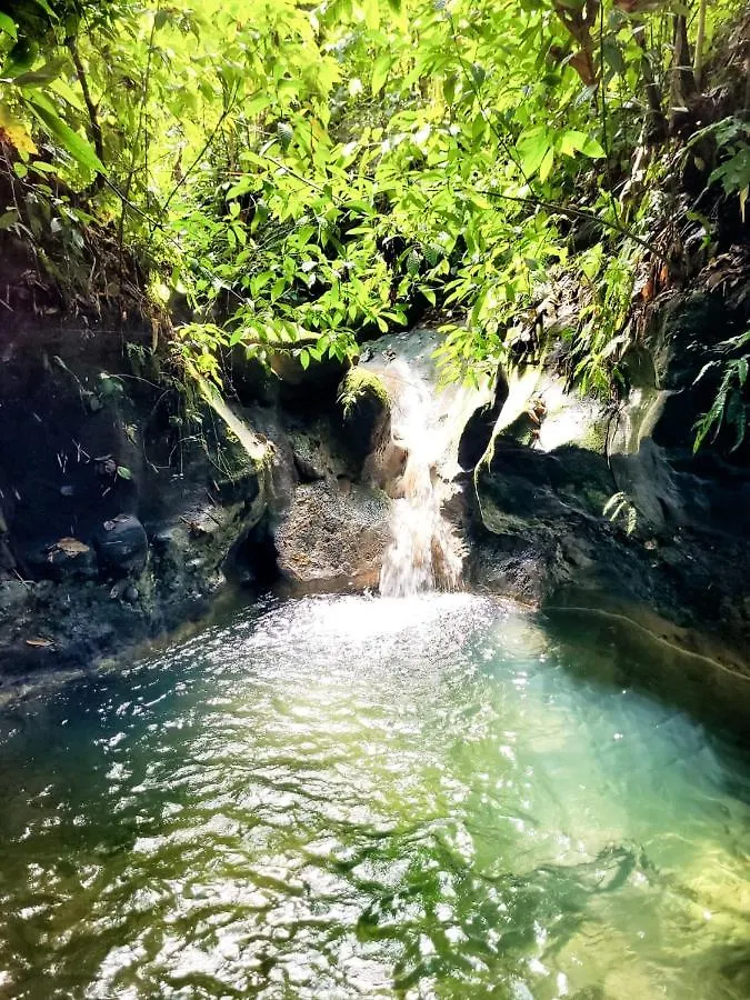 Ecoscape Jamaica - Lavish 1-Br Cottage By The River Saint Ann's Bay Lodge