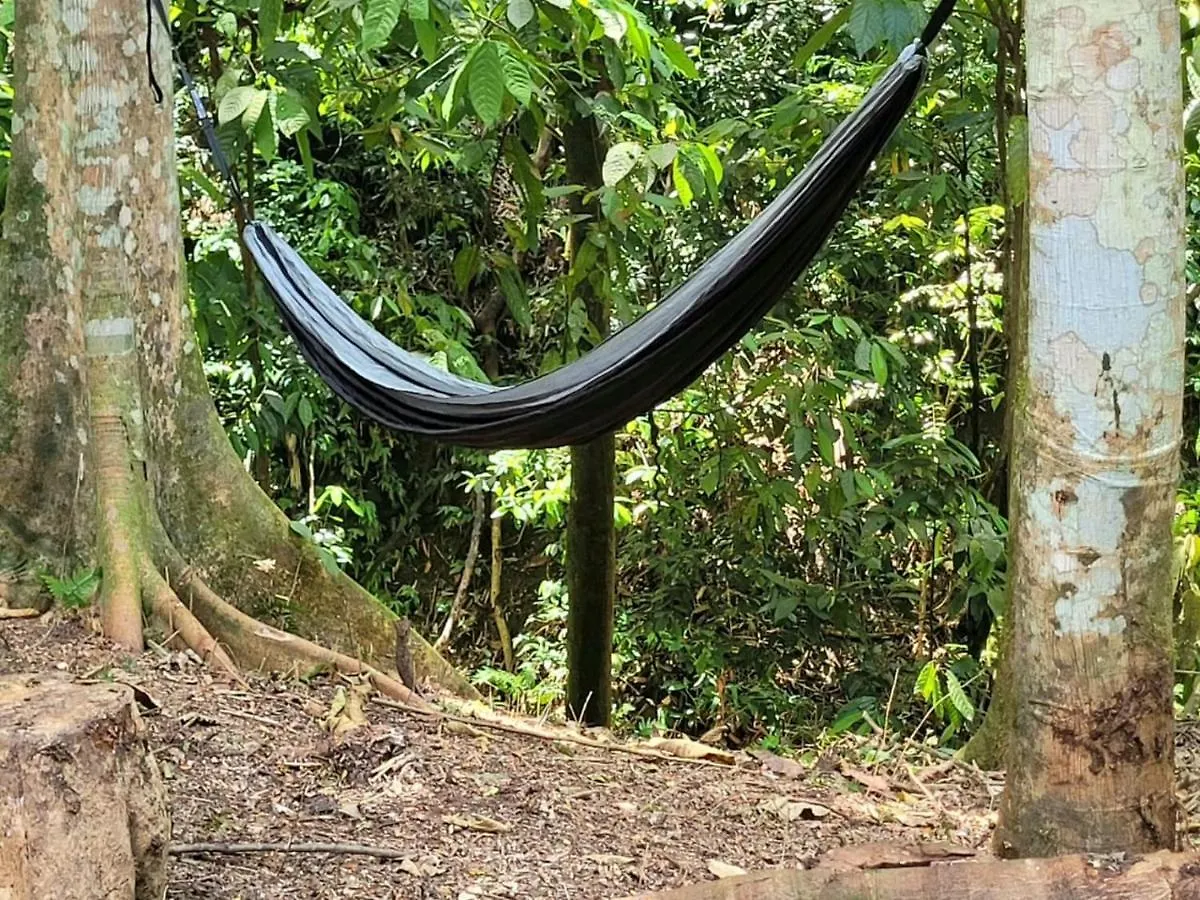 Lodge Ecoscape Jamaica - Lavish 1-Br Cottage By The River Saint Ann's Bay