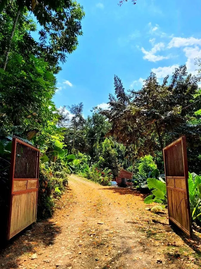 Ecoscape Jamaica - Lavish 1-Br Cottage By The River Saint Ann's Bay