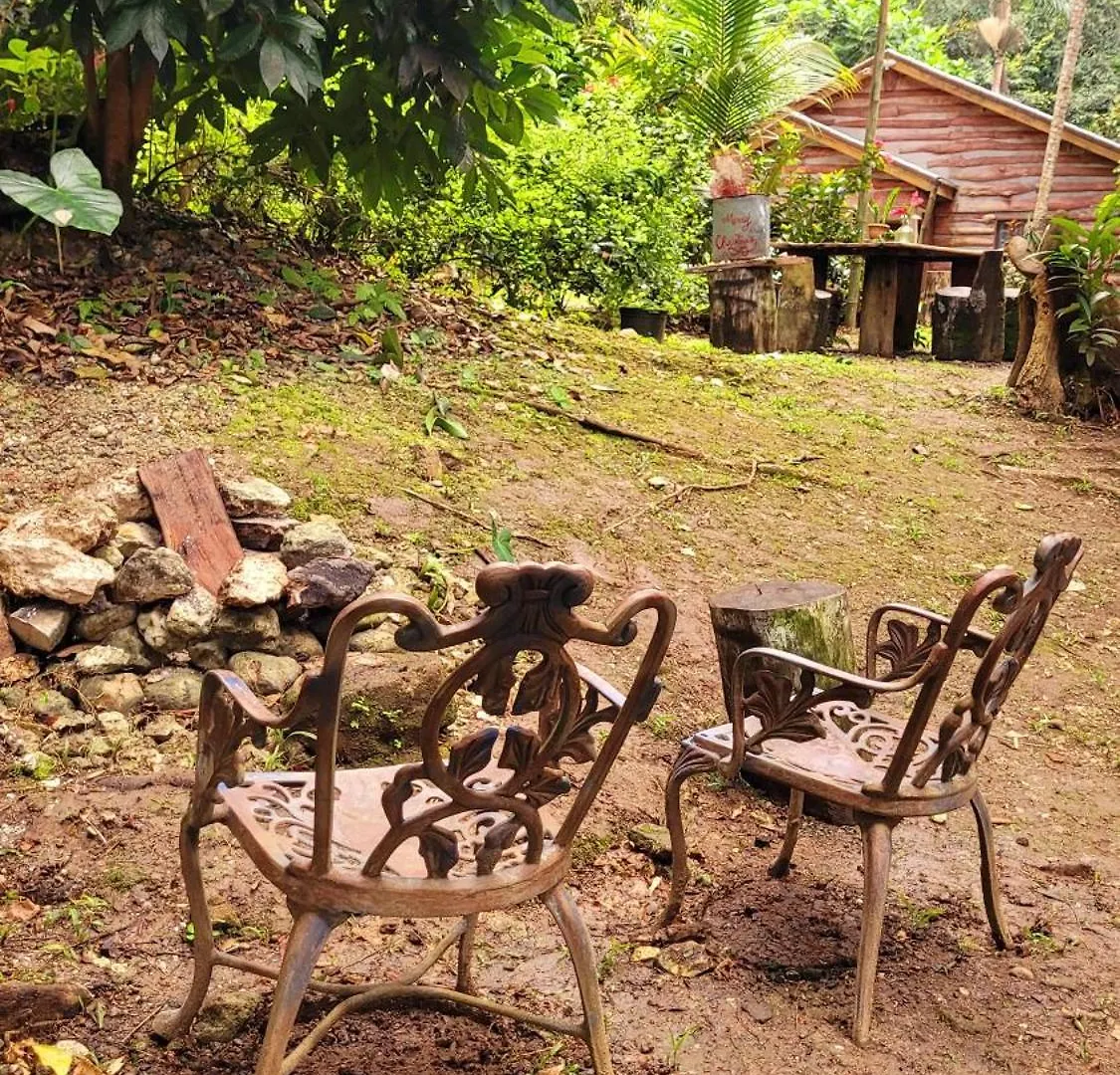 Ecoscape Jamaica - Lavish 1-Br Cottage By The River Saint Ann's Bay 0*,  Jamaica