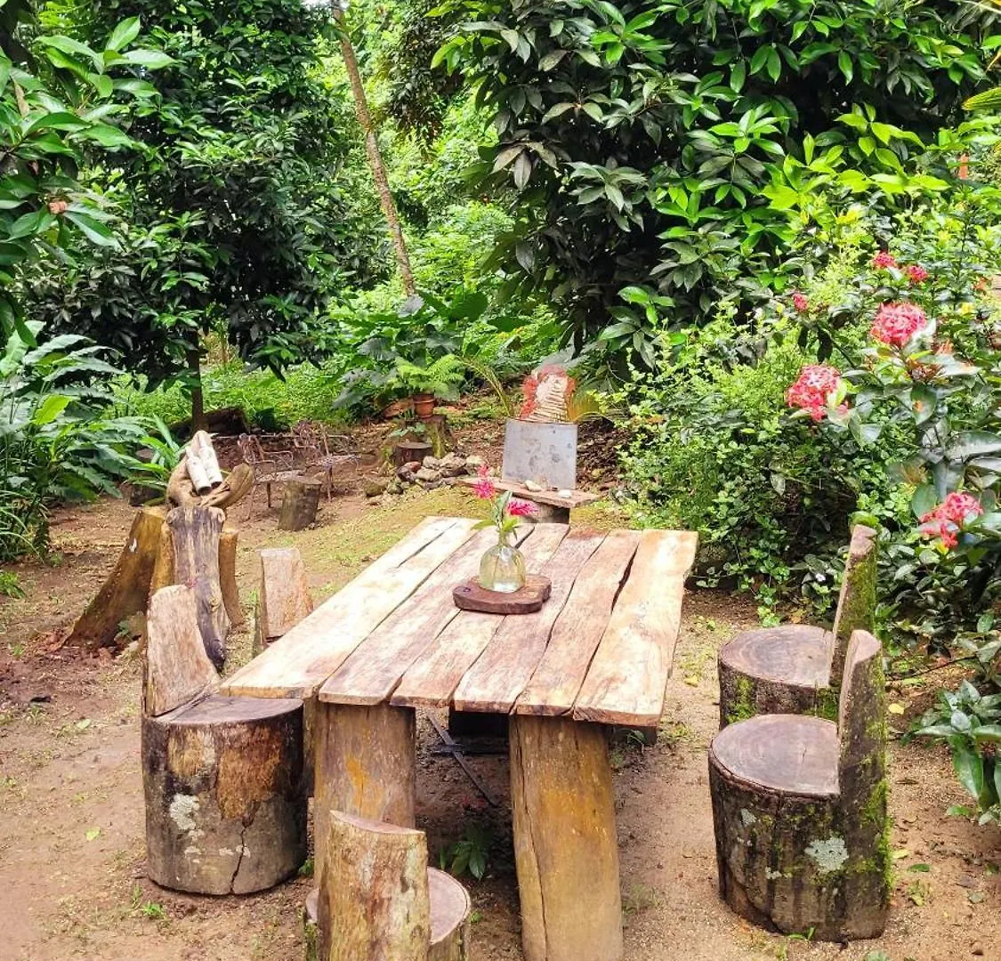 Ecoscape Jamaica - Lavish 1-Br Cottage By The River Saint Ann's Bay Lodge