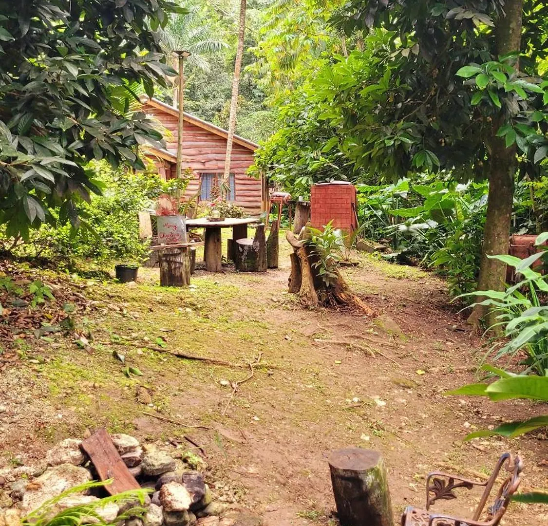Lodge Ecoscape Jamaica - Lavish 1-Br Cottage By The River Saint Ann's Bay Jamaica