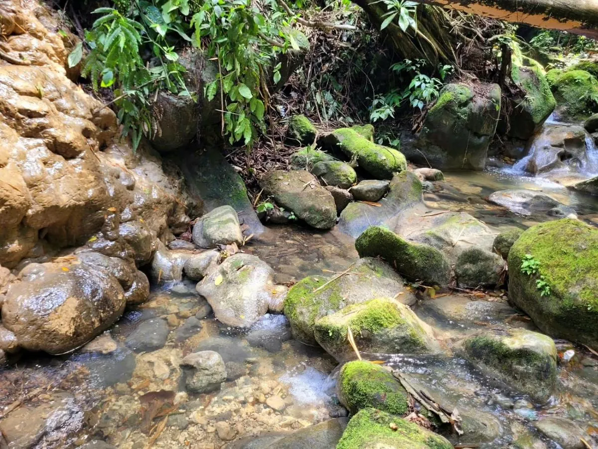 Ecoscape Jamaica - Lavish 1-Br Cottage By The River Saint Ann's Bay